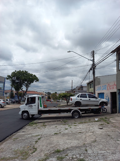 Guincho curitiba Bottollo