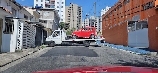 Nicola Guincho Filho